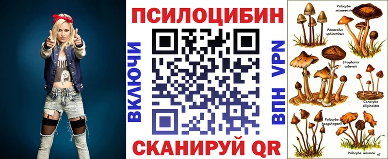мега рабочий сайт  купить  цена  Чебоксары  Псилоцибиновые грибы Magic Shrooms 
